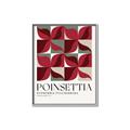 Picture of Poinsettia _GroupedProduct_Rectangle_Portrait_Canvas_Framed_