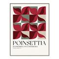 Picture of Poinsettia _GroupedProduct_Rectangle_Portrait_Canvas_Framed_