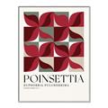 Picture of Poinsettia _GroupedProduct_Rectangle_Portrait_Canvas_Framed_
