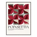 Picture of Poinsettia _GroupedProduct_Rectangle_Portrait_Canvas_Framed_