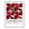 Picture of Poinsettia _GroupedProduct_Rectangle_Portrait_Canvas_Framed_