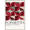 Picture of Poinsettia _GroupedProduct_Rectangle_Portrait_Canvas_Framed_