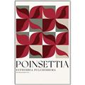 Picture of Poinsettia _GroupedProduct_Rectangle_Portrait_Canvas_Framed_