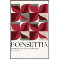 Picture of Poinsettia _GroupedProduct_Rectangle_Portrait_Canvas_Framed_