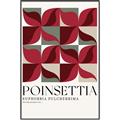 Picture of Poinsettia _GroupedProduct_Rectangle_Portrait_Canvas_Framed_