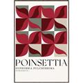 Picture of Poinsettia _GroupedProduct_Rectangle_Portrait_Canvas_Framed_