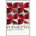 Picture of Poinsettia _GroupedProduct_Rectangle_Portrait_Canvas_Framed_