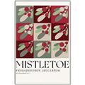 Picture of Mistletoe _GroupedProduct_Rectangle_Portrait_Canvas_Framed_
