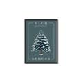 Picture of Blue Spruce _GroupedProduct_Rectangle_Portrait_Canvas_Framed_