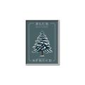 Picture of Blue Spruce _GroupedProduct_Rectangle_Portrait_Canvas_Framed_