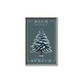 Picture of Blue Spruce _GroupedProduct_Rectangle_Portrait_Canvas_Framed_