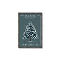 Picture of Blue Spruce _GroupedProduct_Rectangle_Portrait_Canvas_Framed_