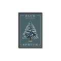 Picture of Blue Spruce _GroupedProduct_Rectangle_Portrait_Canvas_Framed_