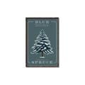 Picture of Blue Spruce _GroupedProduct_Rectangle_Portrait_Canvas_Framed_