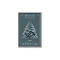 Picture of Blue Spruce _GroupedProduct_Rectangle_Portrait_Canvas_Framed_