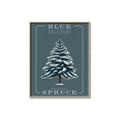 Picture of Blue Spruce _GroupedProduct_Rectangle_Portrait_Canvas_Framed_