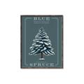Picture of Blue Spruce _GroupedProduct_Rectangle_Portrait_Canvas_Framed_