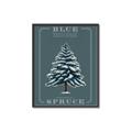 Picture of Blue Spruce _GroupedProduct_Rectangle_Portrait_Canvas_Framed_