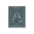 Picture of Blue Spruce _GroupedProduct_Rectangle_Portrait_Canvas_Framed_