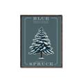 Picture of Blue Spruce _GroupedProduct_Rectangle_Portrait_Canvas_Framed_