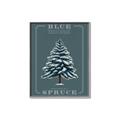 Picture of Blue Spruce _GroupedProduct_Rectangle_Portrait_Canvas_Framed_