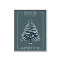 Picture of Blue Spruce _GroupedProduct_Rectangle_Portrait_Canvas_Framed_