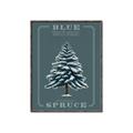 Picture of Blue Spruce _GroupedProduct_Rectangle_Portrait_Canvas_Framed_