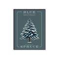 Picture of Blue Spruce _GroupedProduct_Rectangle_Portrait_Canvas_Framed_