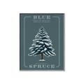Picture of Blue Spruce _GroupedProduct_Rectangle_Portrait_Canvas_Framed_