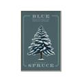 Picture of Blue Spruce _GroupedProduct_Rectangle_Portrait_Canvas_Framed_