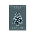 Picture of Blue Spruce _GroupedProduct_Rectangle_Portrait_Canvas_Framed_