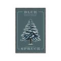 Picture of Blue Spruce _GroupedProduct_Rectangle_Portrait_Canvas_Framed_