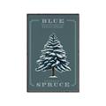 Picture of Blue Spruce _GroupedProduct_Rectangle_Portrait_Canvas_Framed_