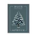 Picture of Blue Spruce _GroupedProduct_Rectangle_Portrait_Canvas_Framed_