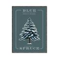 Picture of Blue Spruce _GroupedProduct_Rectangle_Portrait_Canvas_Framed_
