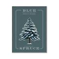 Picture of Blue Spruce _GroupedProduct_Rectangle_Portrait_Canvas_Framed_