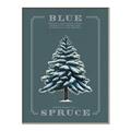 Picture of Blue Spruce _GroupedProduct_Rectangle_Portrait_Canvas_Framed_
