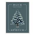 Picture of Blue Spruce _GroupedProduct_Rectangle_Portrait_Canvas_Framed_