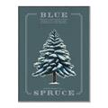 Picture of Blue Spruce _GroupedProduct_Rectangle_Portrait_Canvas_Framed_