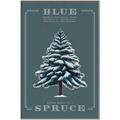 Picture of Blue Spruce _GroupedProduct_Rectangle_Portrait_Canvas_Framed_