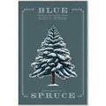Picture of Blue Spruce _GroupedProduct_Rectangle_Portrait_Canvas_Framed_