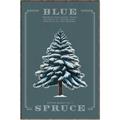 Picture of Blue Spruce _GroupedProduct_Rectangle_Portrait_Canvas_Framed_