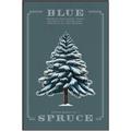 Picture of Blue Spruce _GroupedProduct_Rectangle_Portrait_Canvas_Framed_