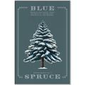 Picture of Blue Spruce _GroupedProduct_Rectangle_Portrait_Canvas_Framed_