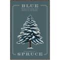 Picture of Blue Spruce _GroupedProduct_Rectangle_Portrait_Canvas_Framed_