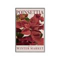 Picture of Winter Market _GroupedProduct_Rectangle_Portrait_Canvas_Framed_