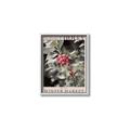 Picture of Holly Jolly Winter Market _GroupedProduct_Rectangle_Portrait_Canvas_Framed_