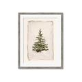 Picture of O Christmas Tree I _GroupedProduct_Rectangle_Portrait_Framed_Matted_