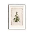 Picture of O Christmas Tree I _GroupedProduct_Rectangle_Portrait_Framed_Matted_