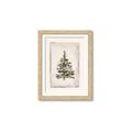 Picture of O Christmas Tree II _GroupedProduct_Rectangle_Portrait_Framed_Matted_